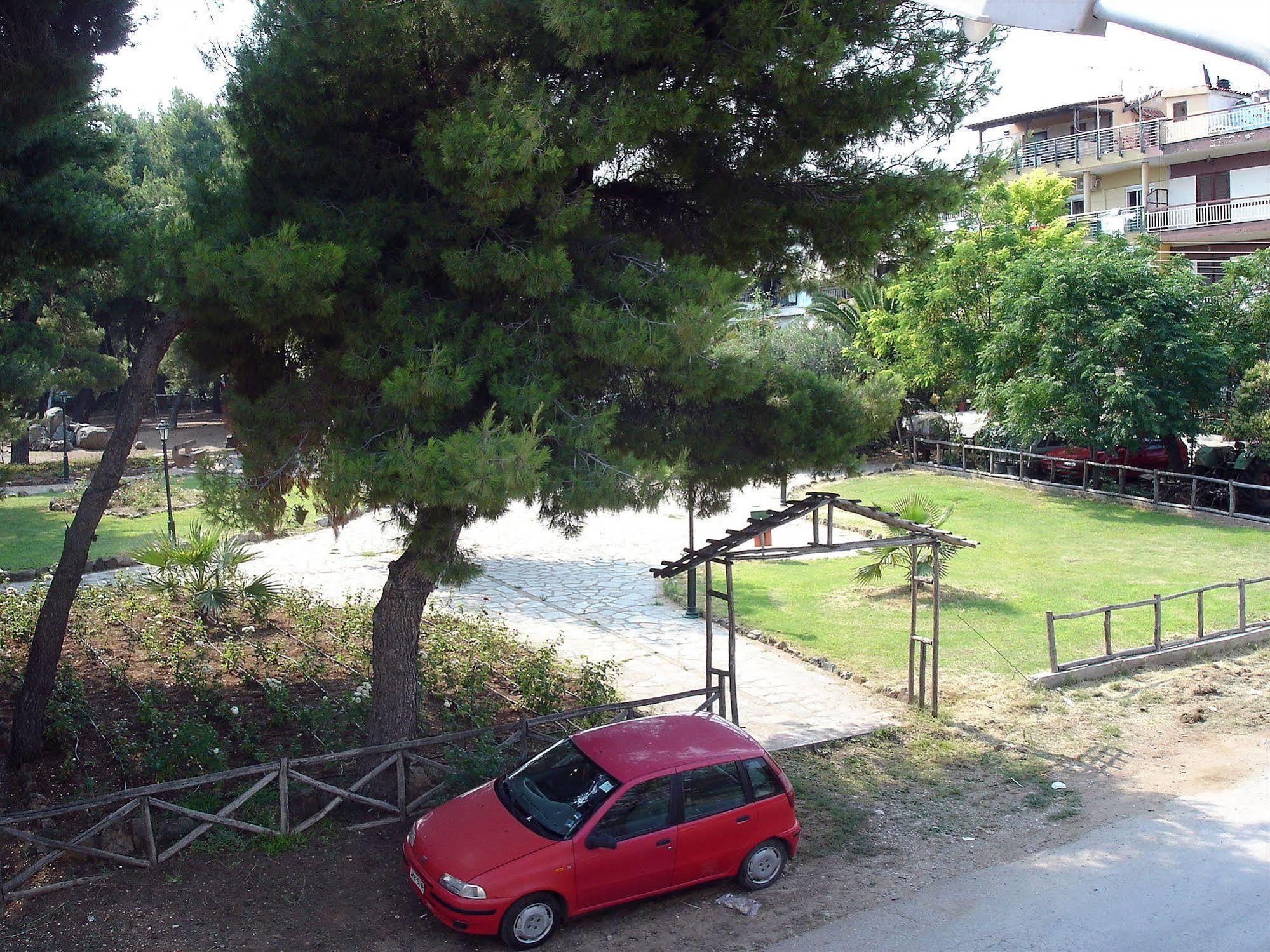 Loxandra Studios Metamorfosi  Luaran gambar